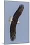 Wood Mount