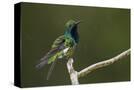 Stretched Canvas