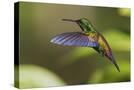 Stretched Canvas