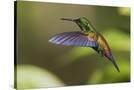 Stretched Canvas
