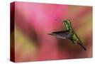Stretched Canvas