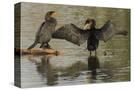 Stretched Canvas