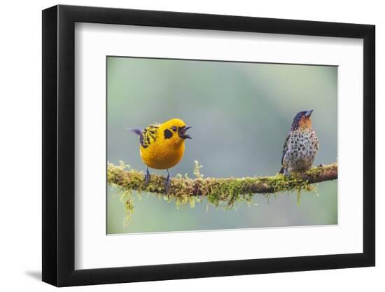 Premium Photographic Print, , large