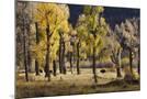 Wood Mount