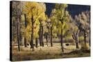 Stretched Canvas