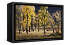 Canvas Black