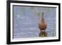 Gramercy Black