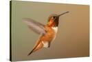 Stretched Canvas