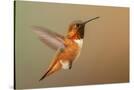 Stretched Canvas