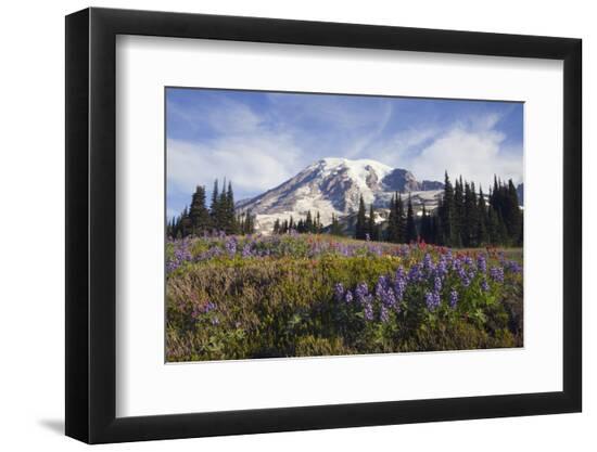 Premium Photographic Print, , large