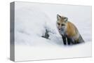 Stretched Canvas