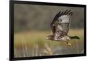 Gramercy Black