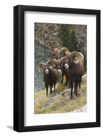 Premium Photographic Print, , large
