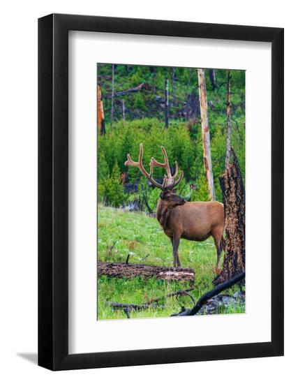 Premium Photographic Print, , large