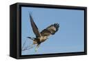 Canvas Black