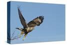 Stretched Canvas