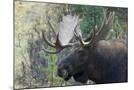 Wood Mount