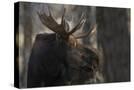 Stretched Canvas