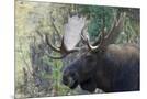 Wood Mount