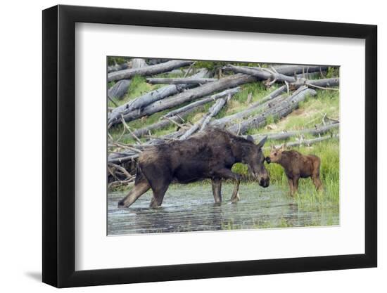 Premium Photographic Print, , large