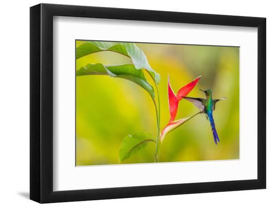 Premium Photographic Print, , large