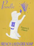 New Poodle Lavender-Ken Bailey-Giclee Print