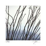 Autumn Color 1-Ken Bremer-Framed Giclee Print