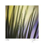 Glass and Steel-Ken Bremer-Giclee Print