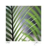 Tropical Fan 2-Ken Bremer-Limited Edition