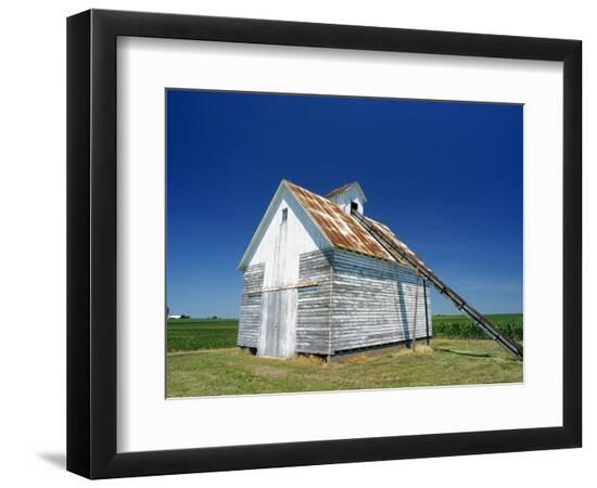 Photographic Print, , large