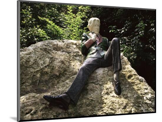 Photographic Print, , large