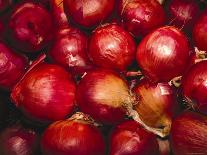 Red Onions-Ken Hammond-Stretched Canvas