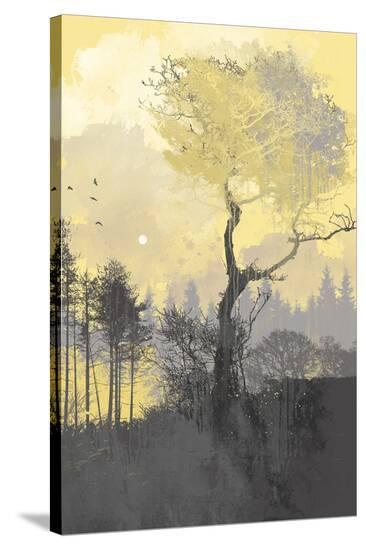 Stretched Canvas Print, , large