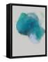 Framed Canvas