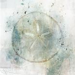 Coastal Mist Sand Dollar-Ken Roko-Art Print