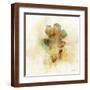Brown Frame