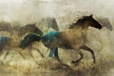 Horses, Wild and Free-Ken Roko-Art Print