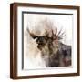Brown Frame