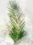 Textured Split Leaf Palm-Ken Roko-Art Print