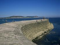 Cobb Quay (The Cobb), Lyme Regis, Dorset, England, United Kingdom-Ken Wilson-Photographic Print