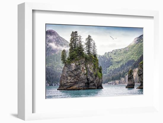 Kenai Fjords National Park-Steven Schremp-Framed Photographic Print