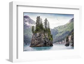 Kenai Fjords National Park-Steven Schremp-Framed Photographic Print
