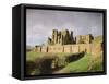 Kenilworth Castle, Warwickshire, England, UK, Europe-David Hughes-Framed Stretched Canvas