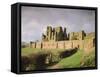 Kenilworth Castle, Warwickshire, England, UK, Europe-David Hughes-Framed Stretched Canvas