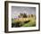 Kenilworth Castle, Warwickshire, England, UK, Europe-David Hughes-Framed Photographic Print