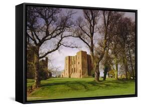 Kenilworth Castle, Warwickshire, England-David Hughes-Framed Stretched Canvas