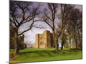 Kenilworth Castle, Warwickshire, England-David Hughes-Mounted Photographic Print