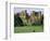 Kenilworth Castle, Warwickshire-Peter Thompson-Framed Photographic Print