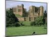 Kenilworth Castle, Warwickshire-Peter Thompson-Mounted Photographic Print