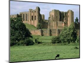 Kenilworth Castle, Warwickshire-Peter Thompson-Mounted Photographic Print